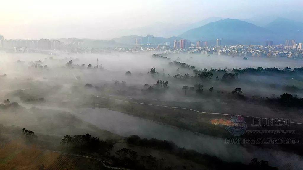 小猫钓鱼正版下载中文版