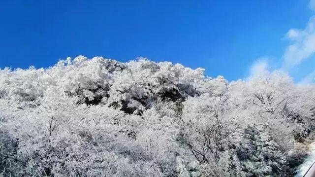 河南许昌黑老大“梁三”,作恶十余年火烧胖东来,被捕后下场如何