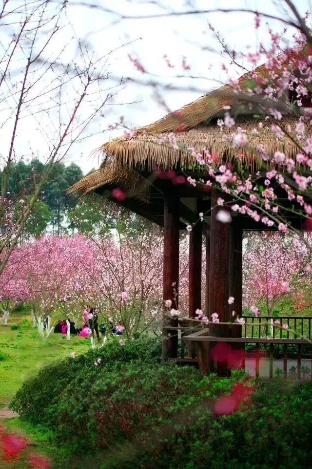 召唤神龙万宁版祖龙