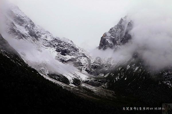 虫虫助手下载