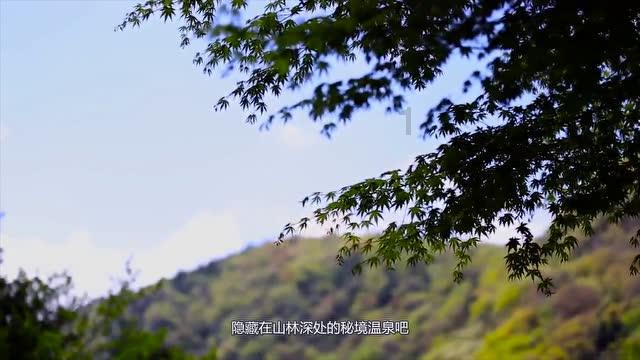 机智问答网页-寻找全面答案,尽在和朋友吵架,她把我删除了,然后我加她,她说你说不过我的,什么意思她?