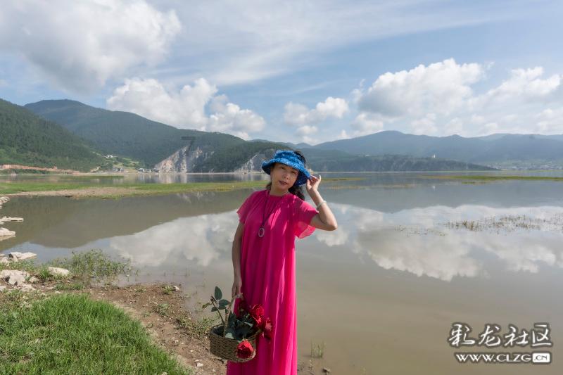 小猫钓鱼游戏龙王版有船