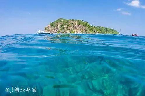 小猫钓鱼正版下载中文版