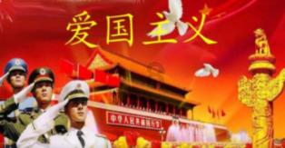 小猪仔要回家