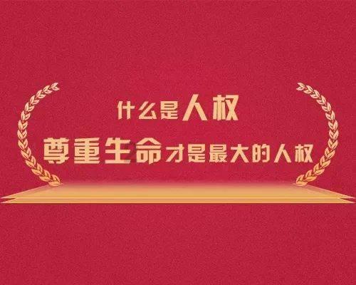 罗马2：全面战争
