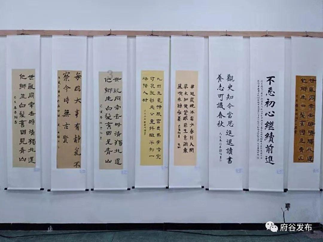蓝狐视频