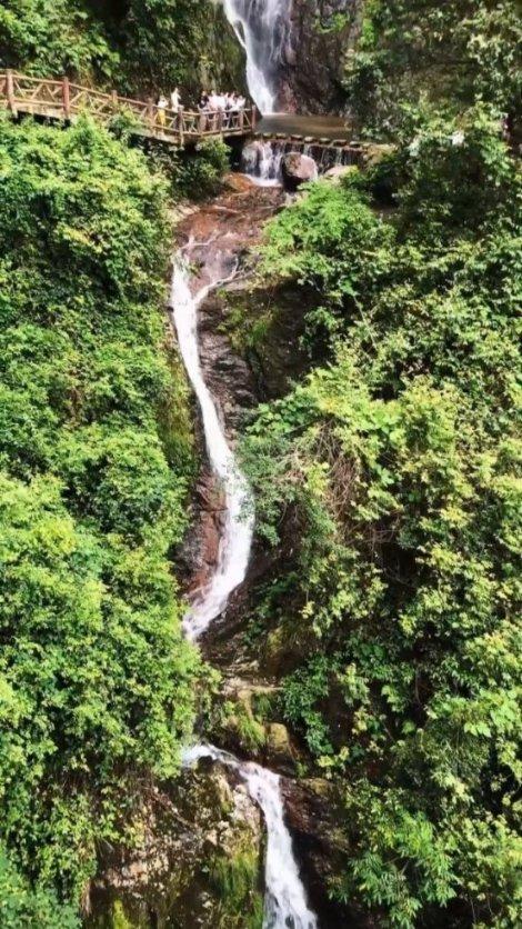 救援小洋葱