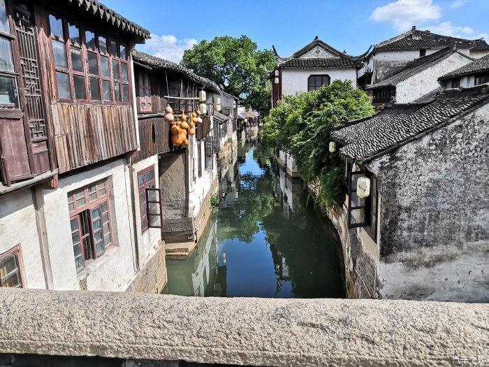 动物帮帮忙保卫家园
