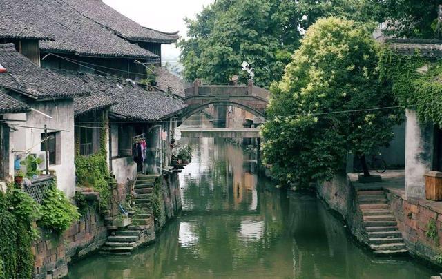 猪场怼怼乐