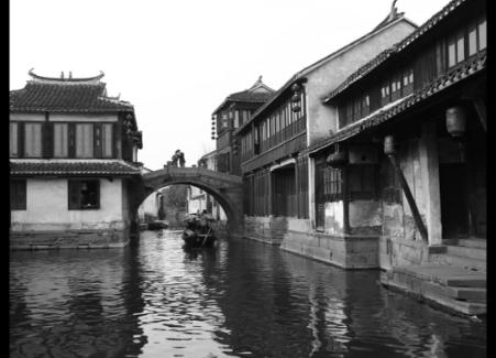 春茶崭露头角,茶云之南