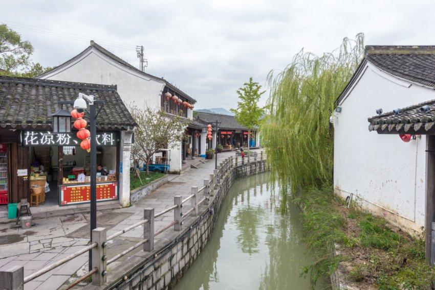 长沙鸟类又上新 灰喉柳莺现身岳麓山