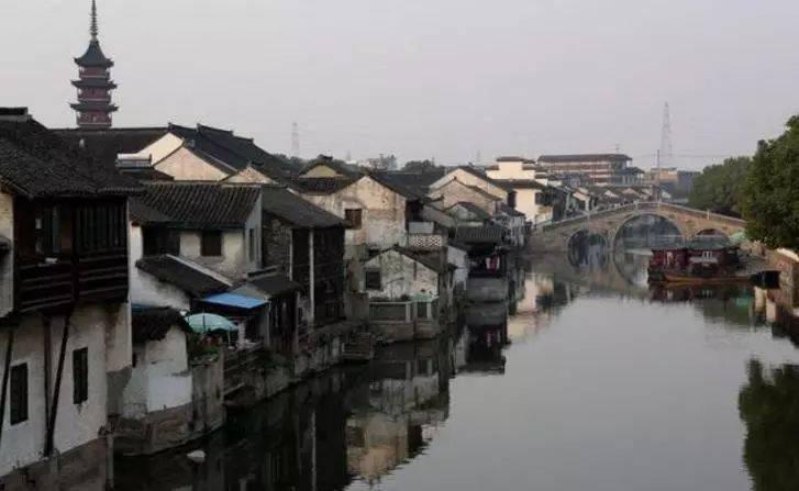 动物帮帮忙保卫家园