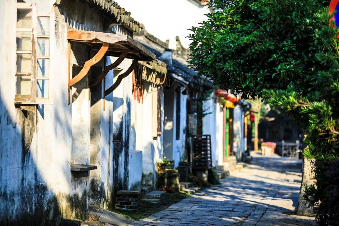 震撼解读:斗志昂扬冷静客观态度如何获取
