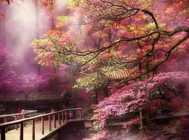【小里帮忙】暖气爆管2层住户被淹,高昂赔偿到底谁来负责?